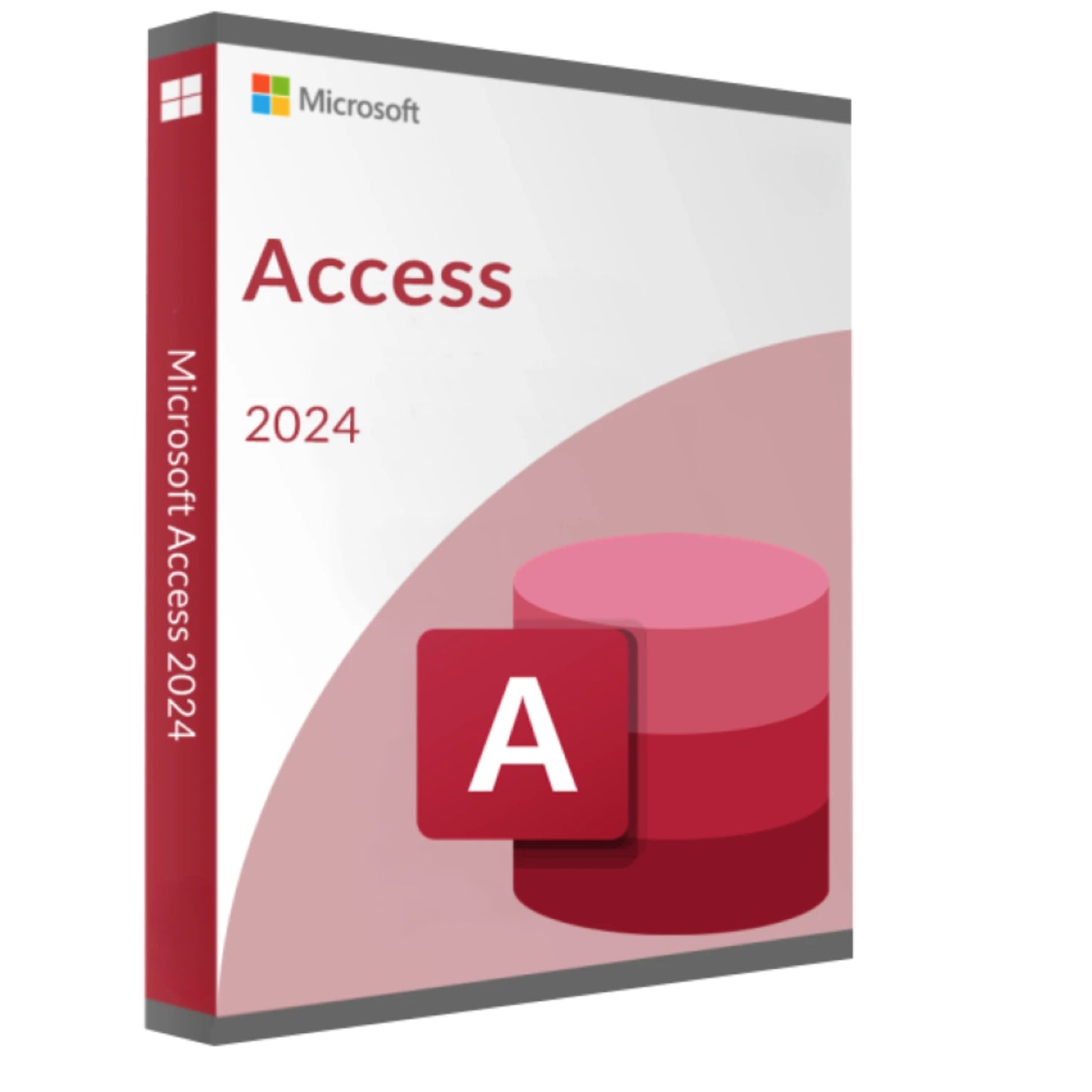 microsoft access 2024