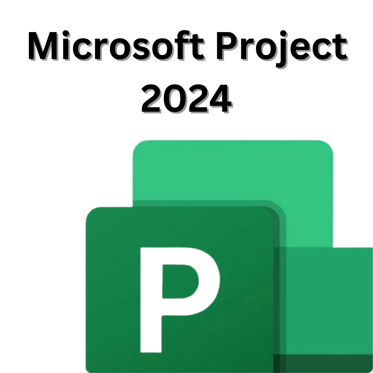 Microsoft Project 2024 Email Bind License Key Lifetime Validity